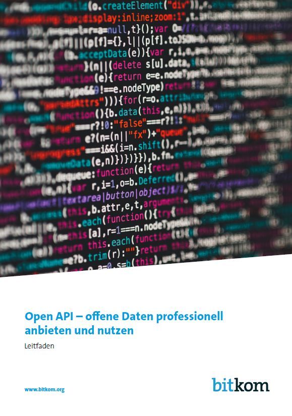 Open API – offene Daten professionell anbieten und nutzen